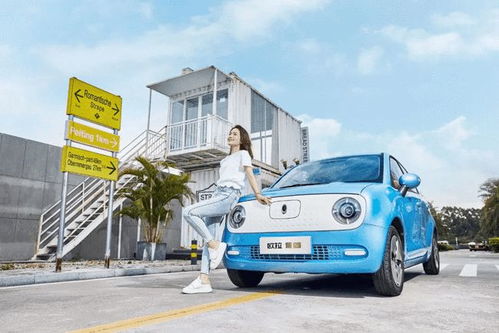 什么樣的電動(dòng)汽車(chē)能賣(mài)好