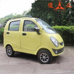 最新傻瓜智能電動車產品展示